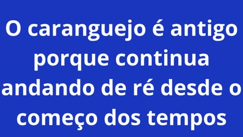 piadinhas (1).mp4