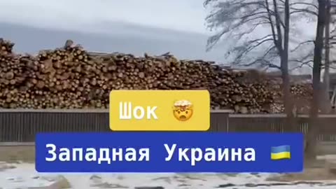 To the Last Ukrainian, To the Last Tree: Looting Ukraine