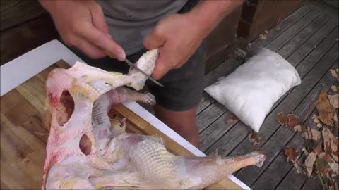 Turkey rolled roast recipe