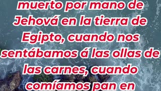“El pan del cielo: La provisión de Dios en el desierto” Éxodo 16:3,4.#shortvideo #reels #youtube #yt