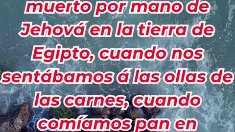 “El pan del cielo: La provisión de Dios en el desierto” Éxodo 16:3,4.#shortvideo #reels #youtube #yt