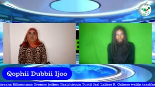 Qophii Dubbii Ijoo ONM-ABO Sadaasa 1-2025 itti dhiyaadhaa!