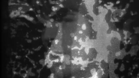 Paint Box - Pink Floyd (music video)