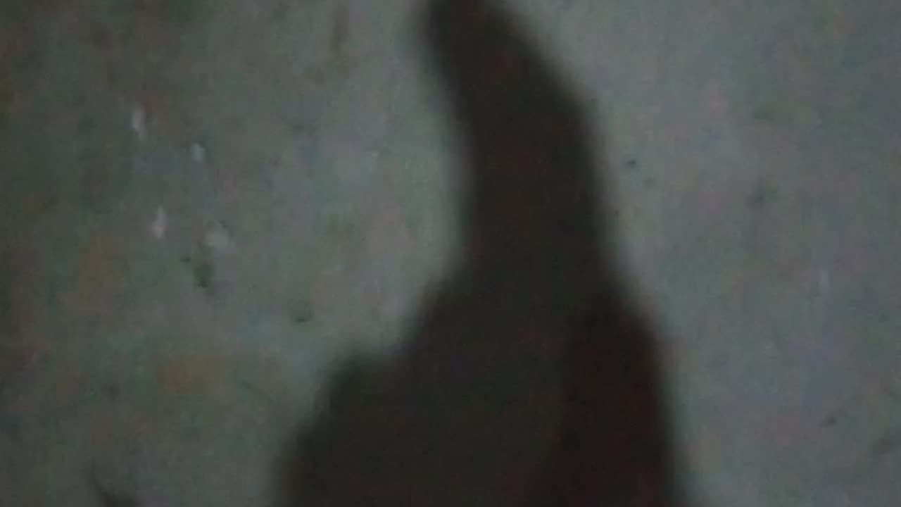 #shadow