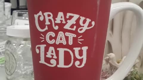 A present you can get your Liberal Democrat family member