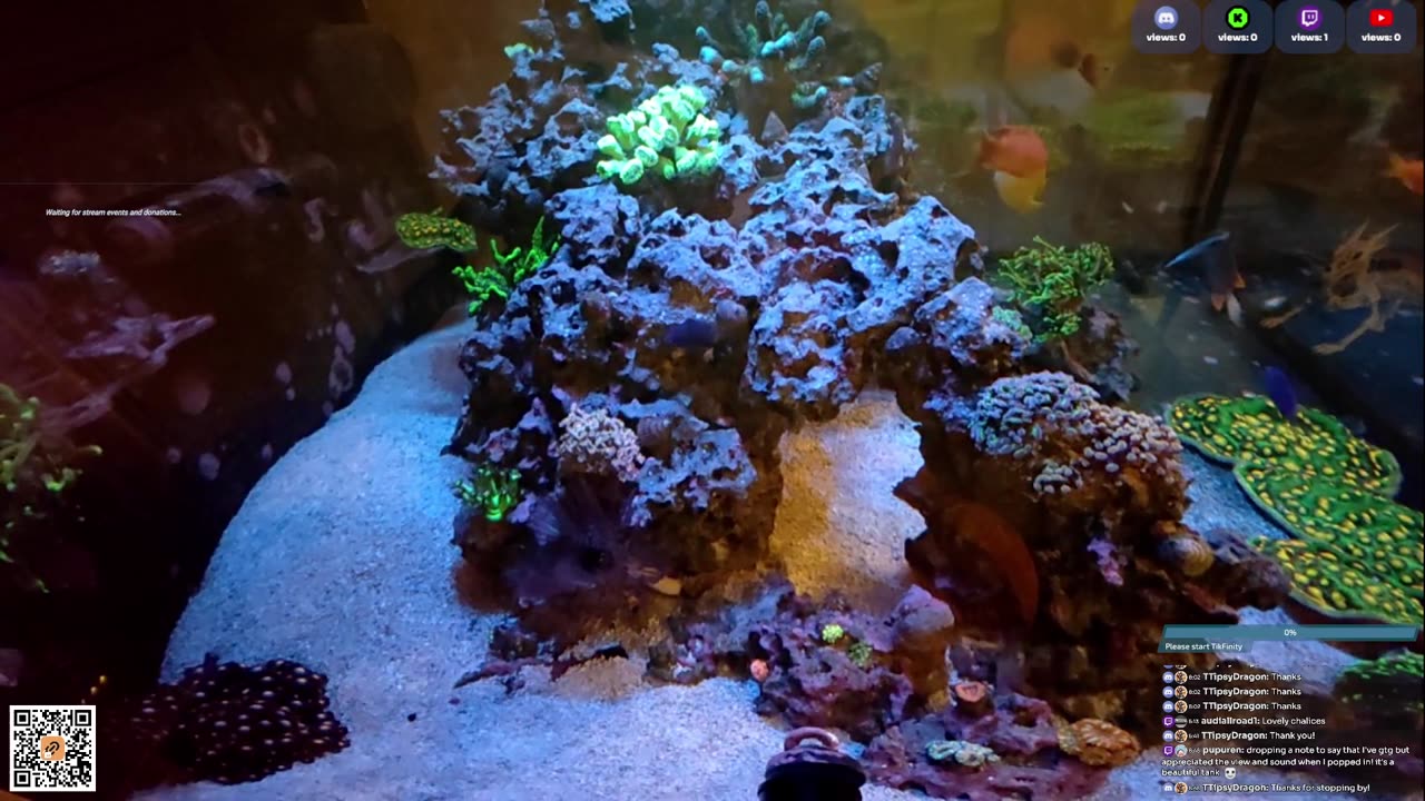 24/7 Real Live Reef Stream