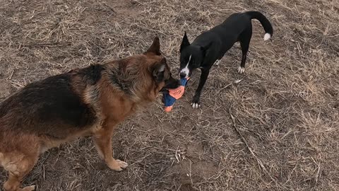 Tug-O-War