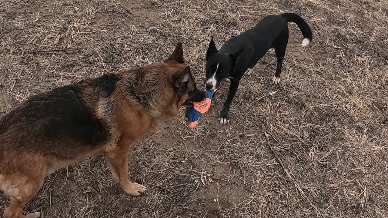 Tug-O-War