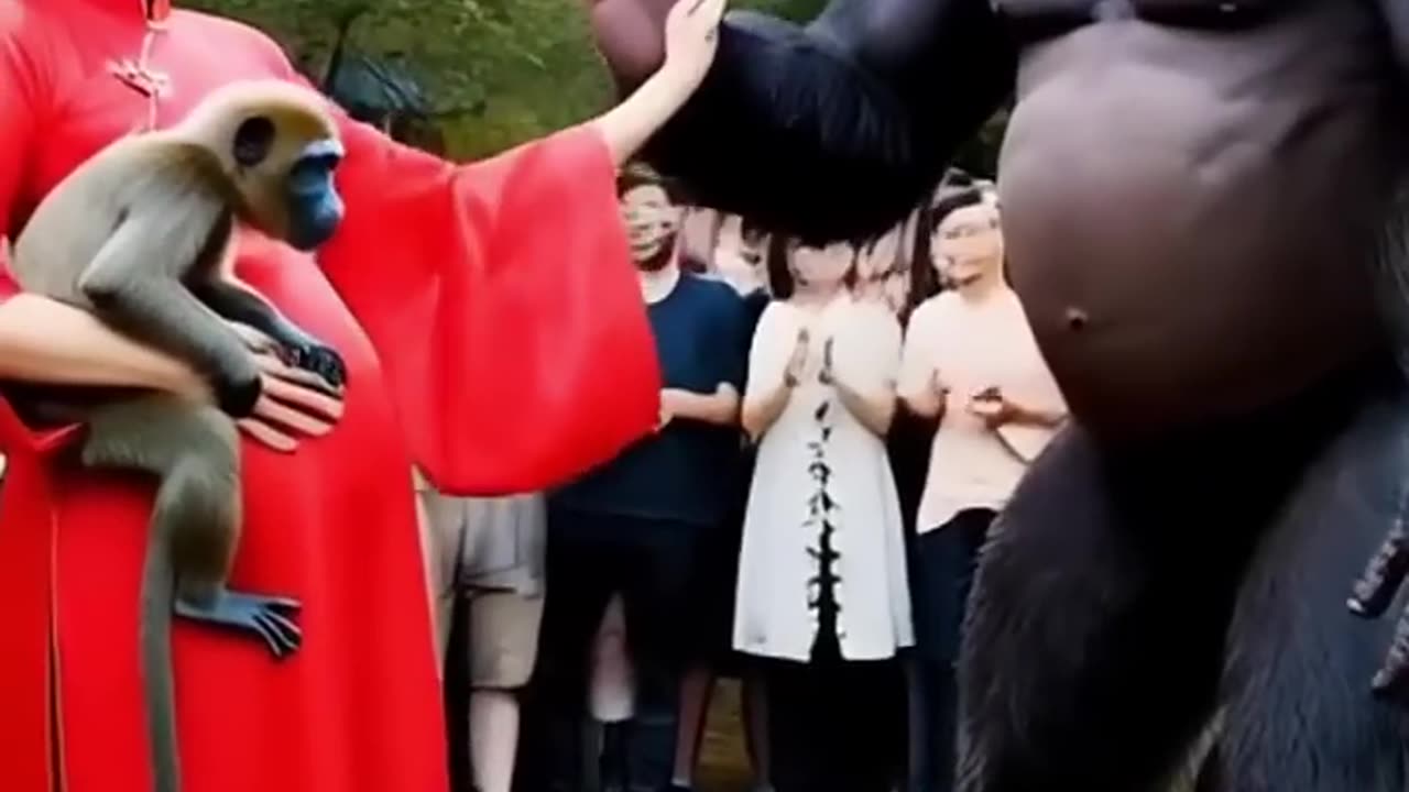 The Heartbreaking Farewell: When Nature, Animals, and Humans Part Ways 🌍💔