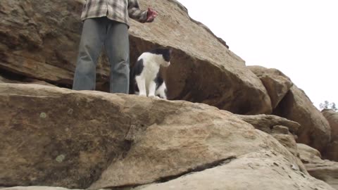 Our Cats #158 - We Walk up Rocky Trail with Pasha and Panqueeñou