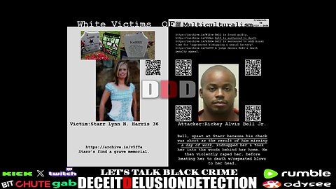 Black on White Crime Report #484