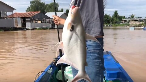 Fishing for a 2.5kg Giant Mekong Catfish - Ultimate River Fishing Adventure