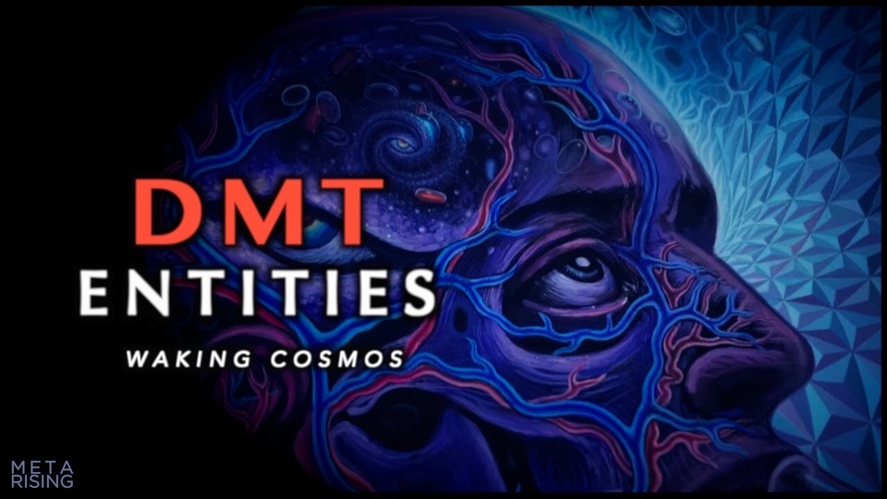 QUIENES SON LAS ENTIDADES DEL DMT? (VOSE)