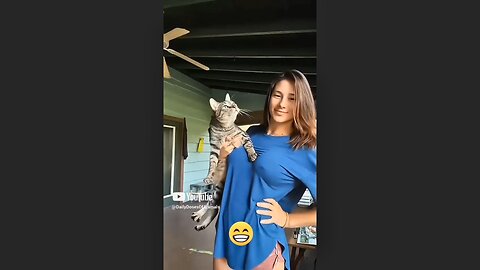 Funny animals and Cat Touching Boobs