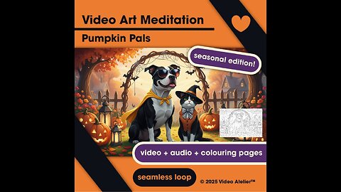 Video Art Meditation Relaxation Stress-Relief Colouring Pages Pumpkin Pals Animal 4K Lofi Halloween