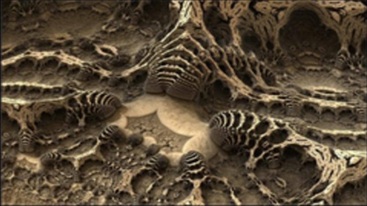 [Mar 6, 2020] Morgellons actually Explained!! [williamgenske]