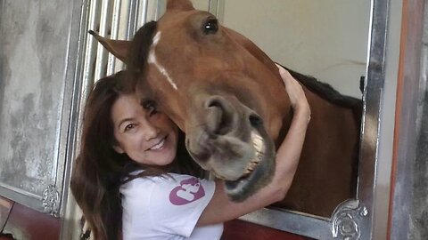 This Horse Displays Head To Head Affection_ Cute Horse and Human Moments