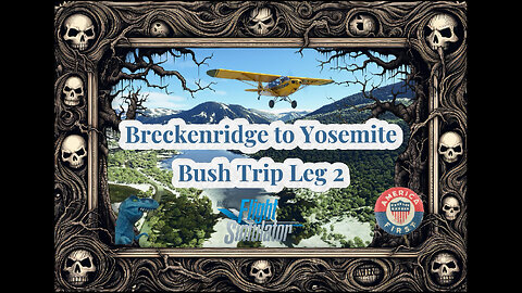 MSFS 2020▪️Breckenridge to Yosemite Bush Trip Leg 2