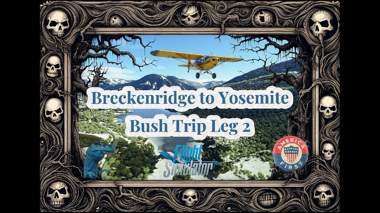 MSFS 2020▪️Breckenridge to Yosemite Bush Trip Leg 2