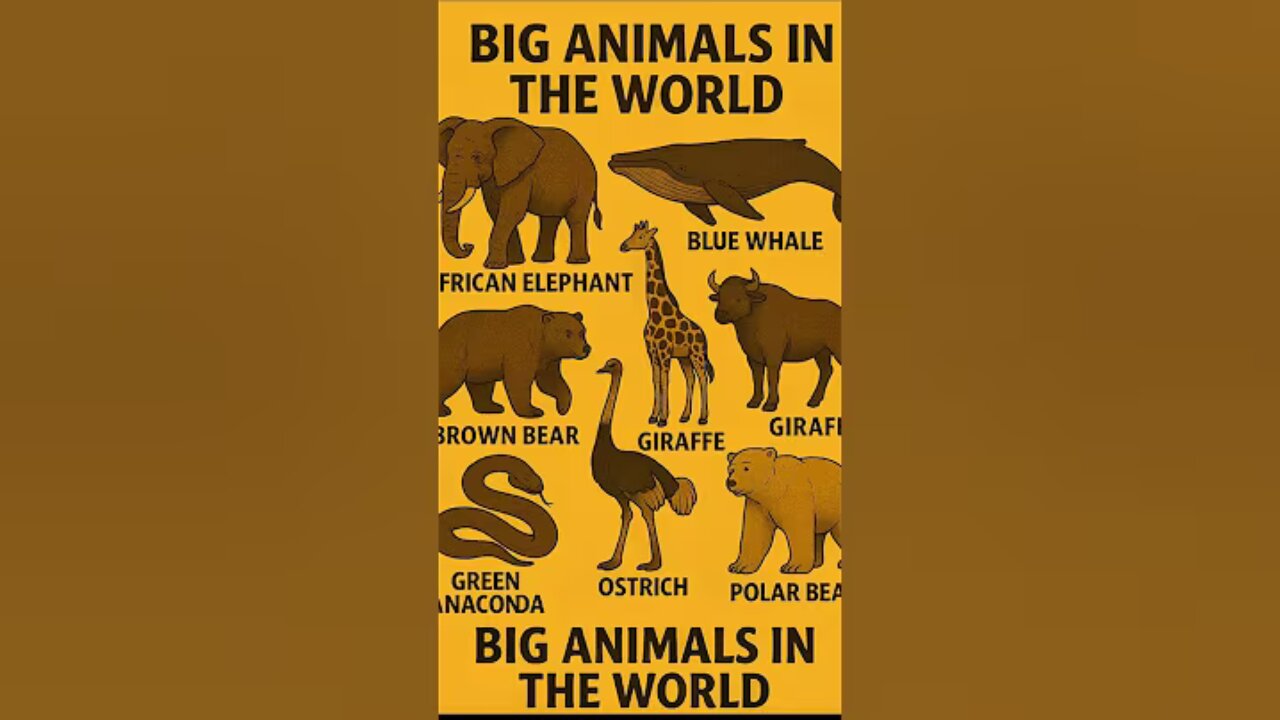 The biggest animals in the world🤯🔥☄️