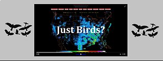 Just Birds?