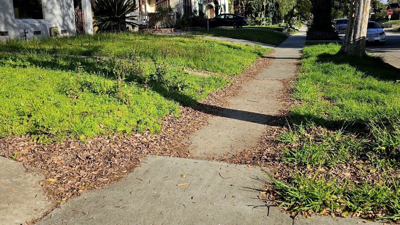 Neighbors Team Up On MOWING This Lawn When It OVERGROWS After City SIEZED The Property