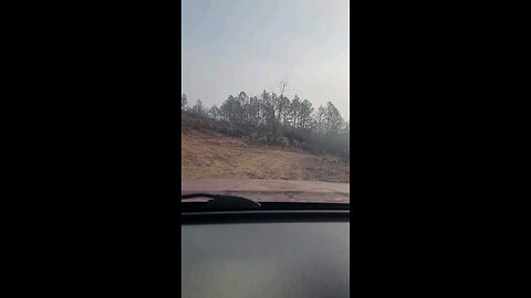 Cahaba wildlife area 11 20 25