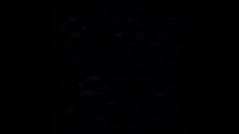 Leavitt: ‘Trump and His Entire Administration Stand Fully Behind the Heroic Men and Women of ICE’