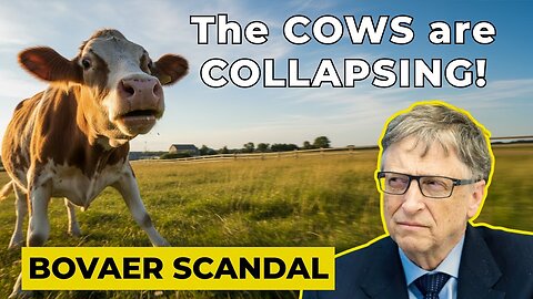 Bill Gates' Latest Scandal: BOVEAR