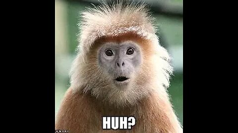 BLUETARD STATES IMPLEMENT TAXES ON GOLD/SILVER