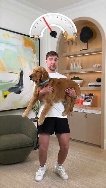 Holding Bigger And Bigger Dogs 💪🐕||