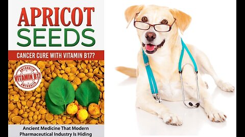 WHY OUR FRUITS ARE SEEDLESS - NOT FOR CONVENIENCE