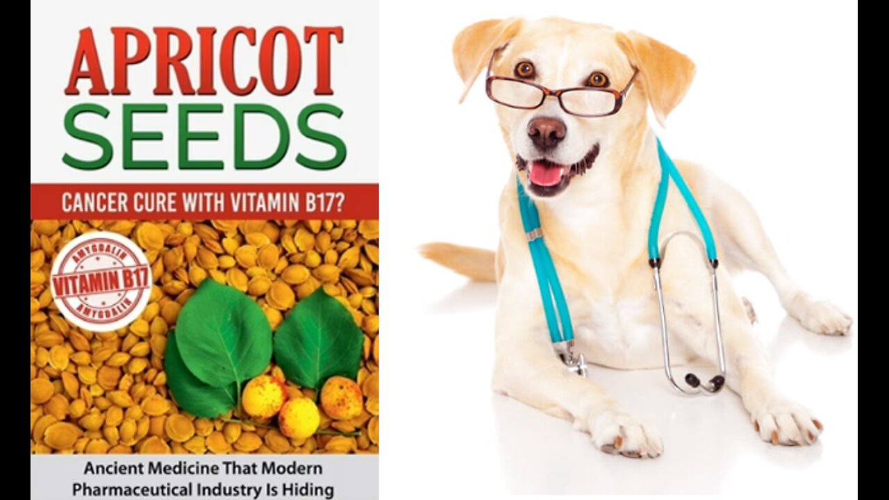 WHY OUR FRUITS ARE SEEDLESS - NOT FOR CONVENIENCE