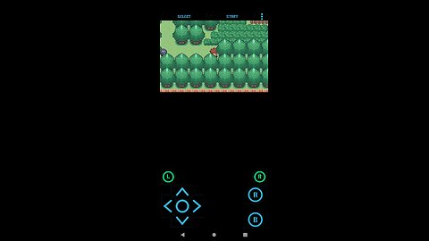 Pokémon Unbound part 5