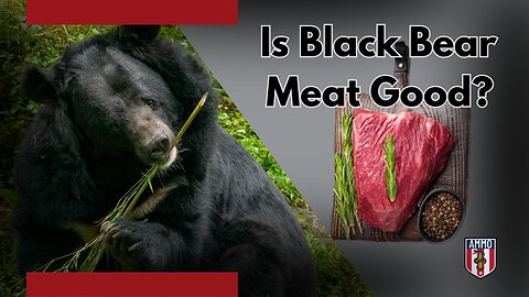 Bear Hunting Final Report: From Hunt to Table