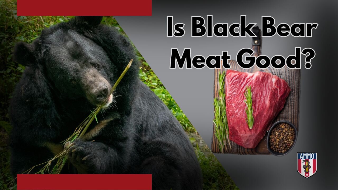Bear Hunting Final Report: From Hunt to Table