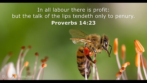 Proverbs 14