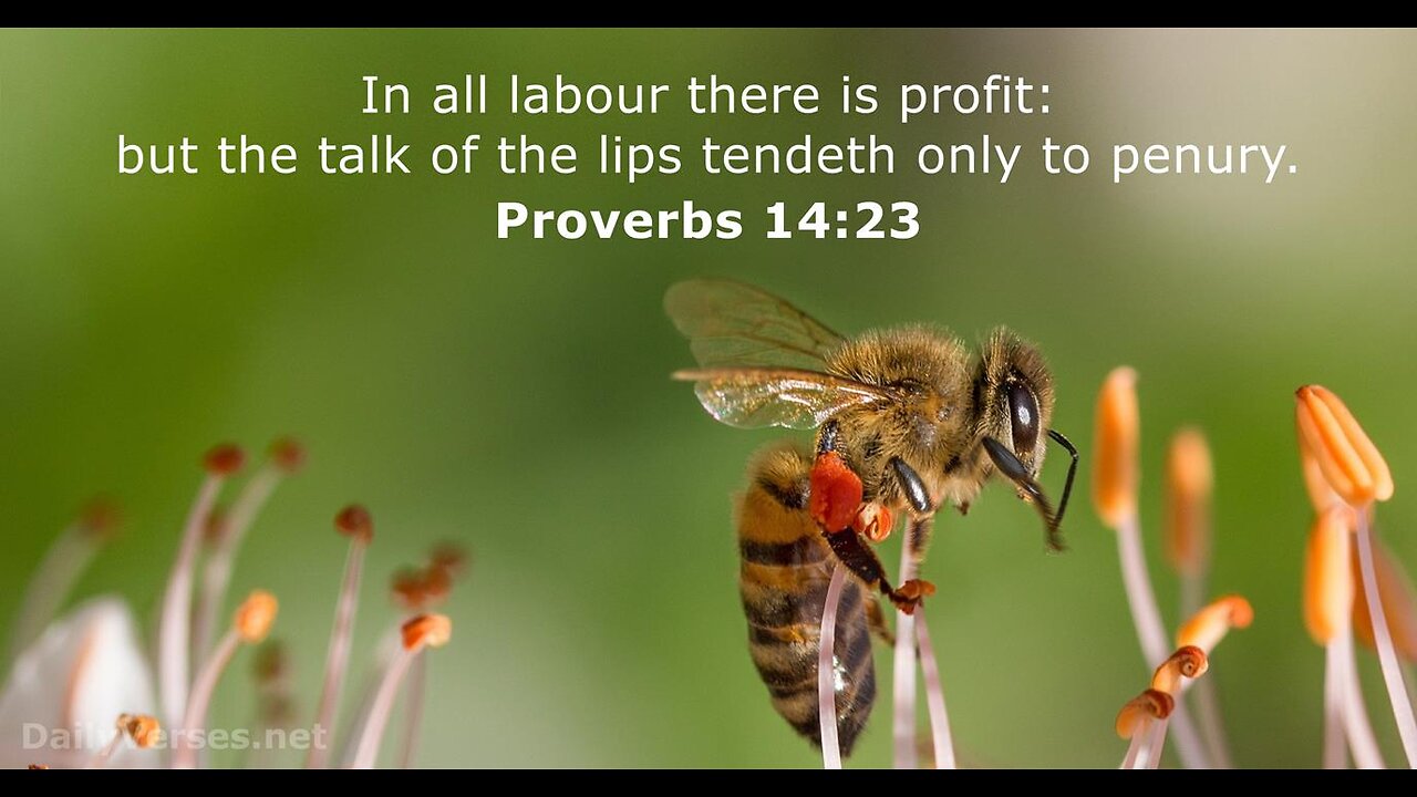 Proverbs 14