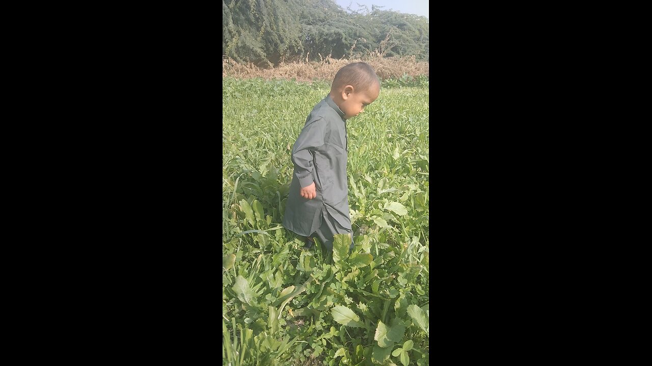 my son