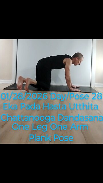Eka Pada Hasta Utthita Chattaranga Dandasana