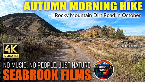 Autumn Morning Hike: Rocky Mountain Dirt Road in October