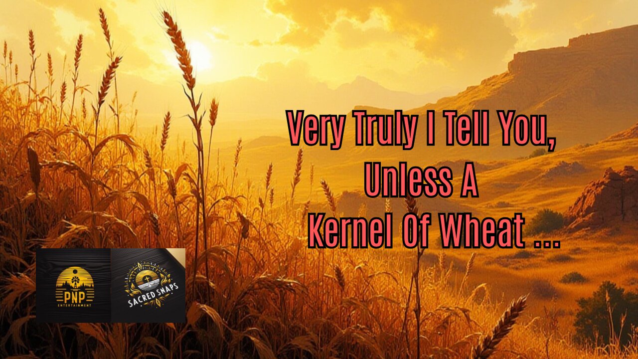 Jesus: Seed Of Life