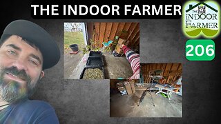 The Indoor Farmer ep 206, Harvesting The Ladies. The Garages Is Still Technically Indoors Right? lol