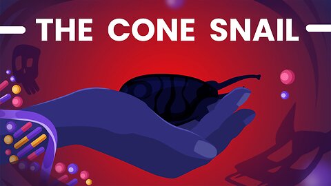 We Forgot the Most Dangerous One: The Cone Snail