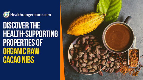 Discover the health-supporting properties of Organic Raw Cacao Nibs