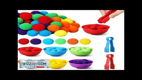 3 year Old Children's Rainbow Counting Pompoms Toys Sorting Cup Montessori Sensory Review