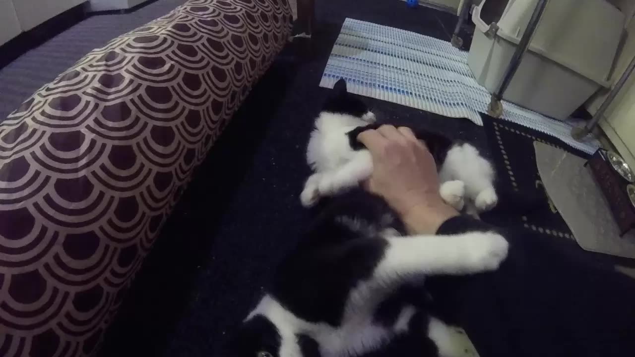 Sisters