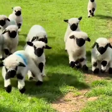 Unleashing their inner joy 😊