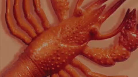 Viral Personal AI Assistant Clawdbot, Now Moltbot