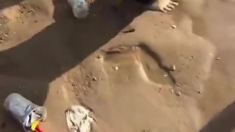 Belgium | Uncivilized people are responsible for turning a country into a third world shithole